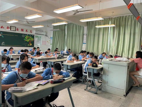 课后服务全面开花，打造有温度的教育——教育咨询服务的价值与实践