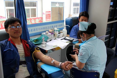 孙杏村的教育咨询服务企业 领导与员工携手共创新辉煌