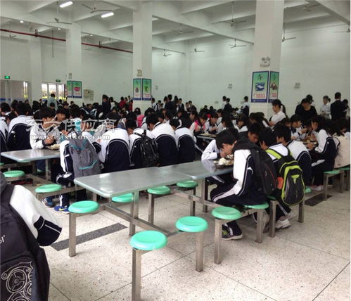 智慧餐饮服务与教育咨询 一站式解决方案，助力企业发展